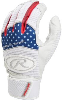 WH950BG - Rawlings Workhorse Series Slaghandschoenen USA