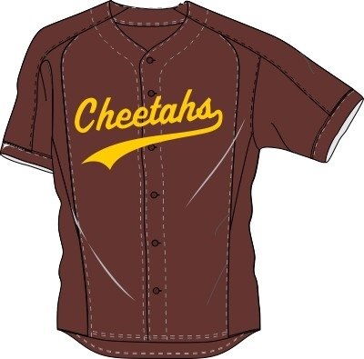 Cheetahs