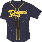 Houten Dragons  width=