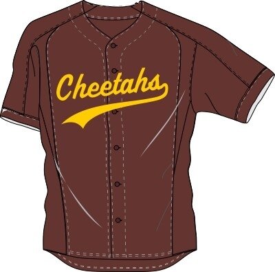 Cheetahs