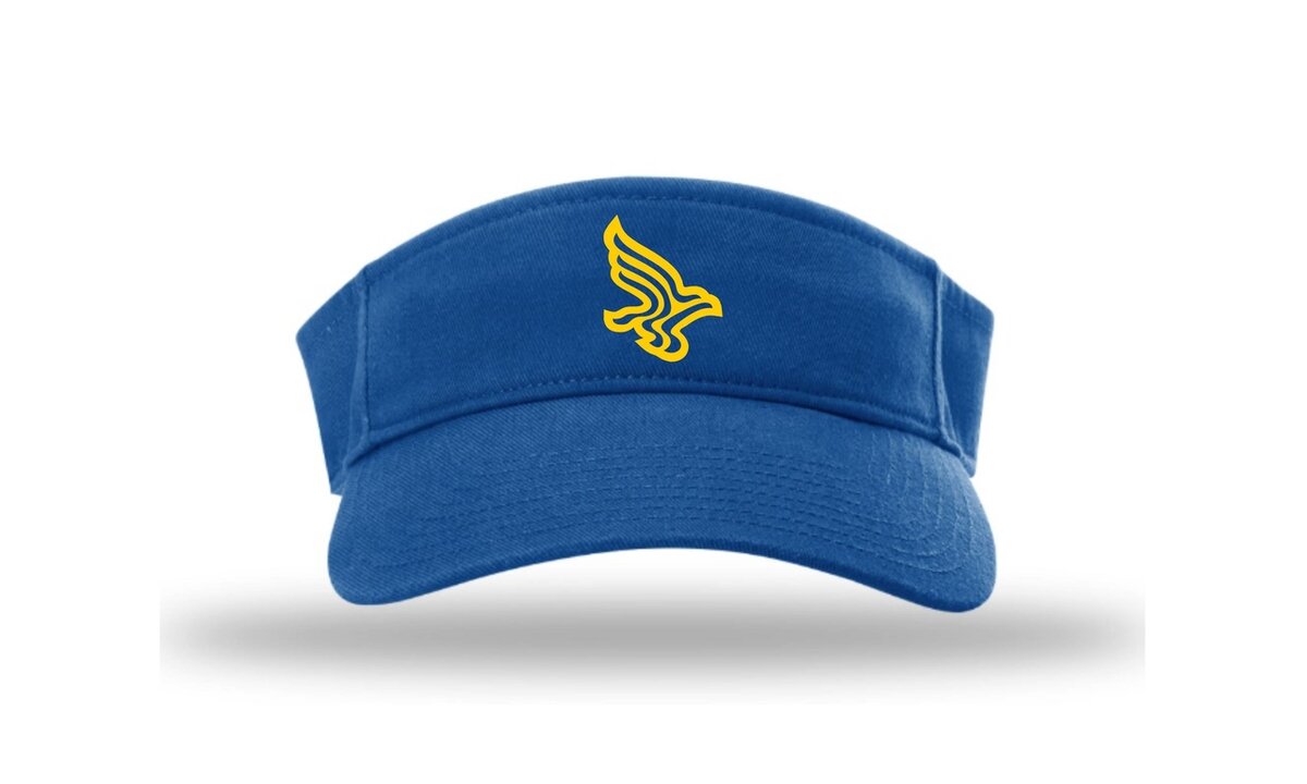 Blue Birds HV6 Champro Visor