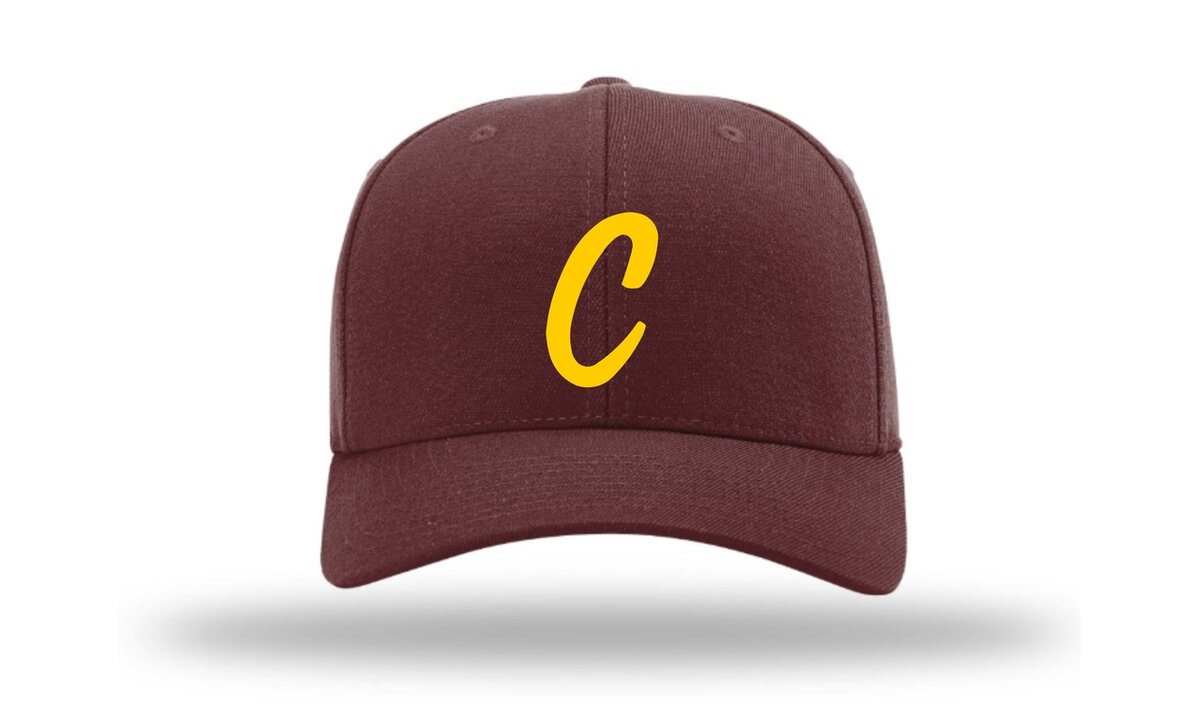 Cheetahs SSK FLEX CAP