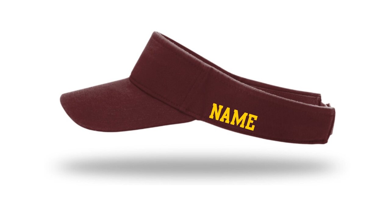 Cheetahs HV6 Champro Visor