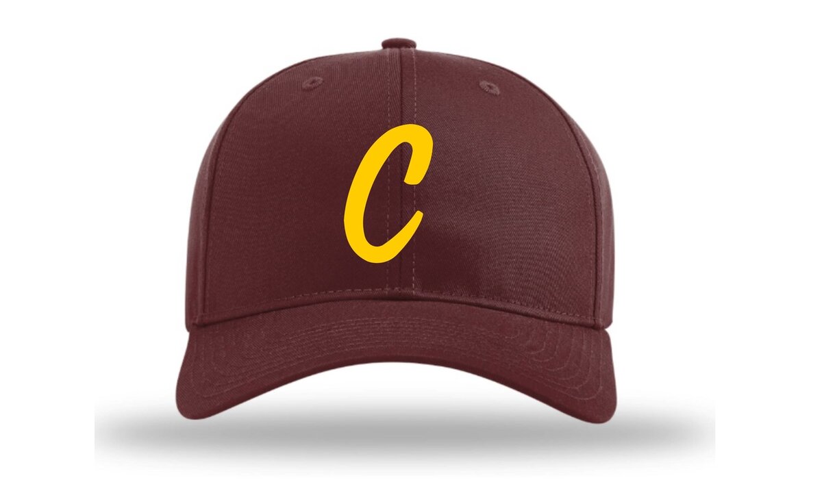 Cheetahs 212 Richardson Open Twillcap 