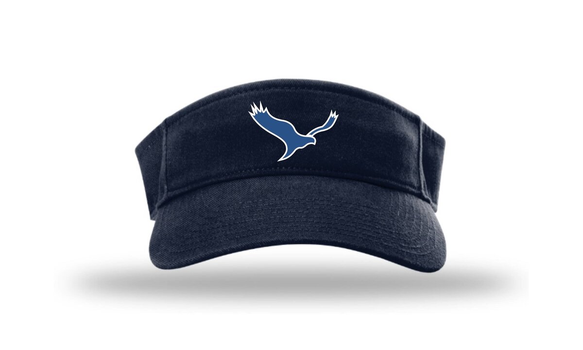Harri&euml;rs HV6 Champro Visor
