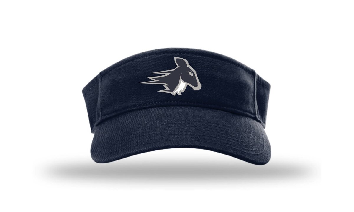 Stags HV6 Champro Visor