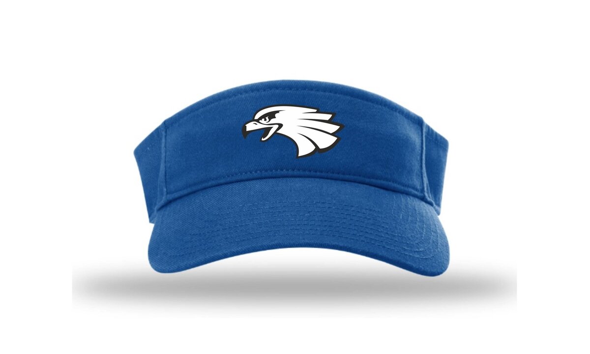 Blue Hawks HV6 Champro Visor