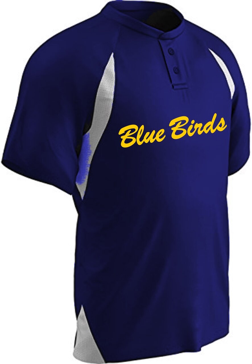 Blue Birds Practice Jersey
