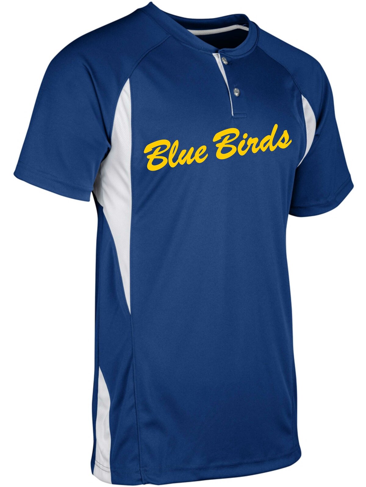 Blue Birds Practice Jersey New model