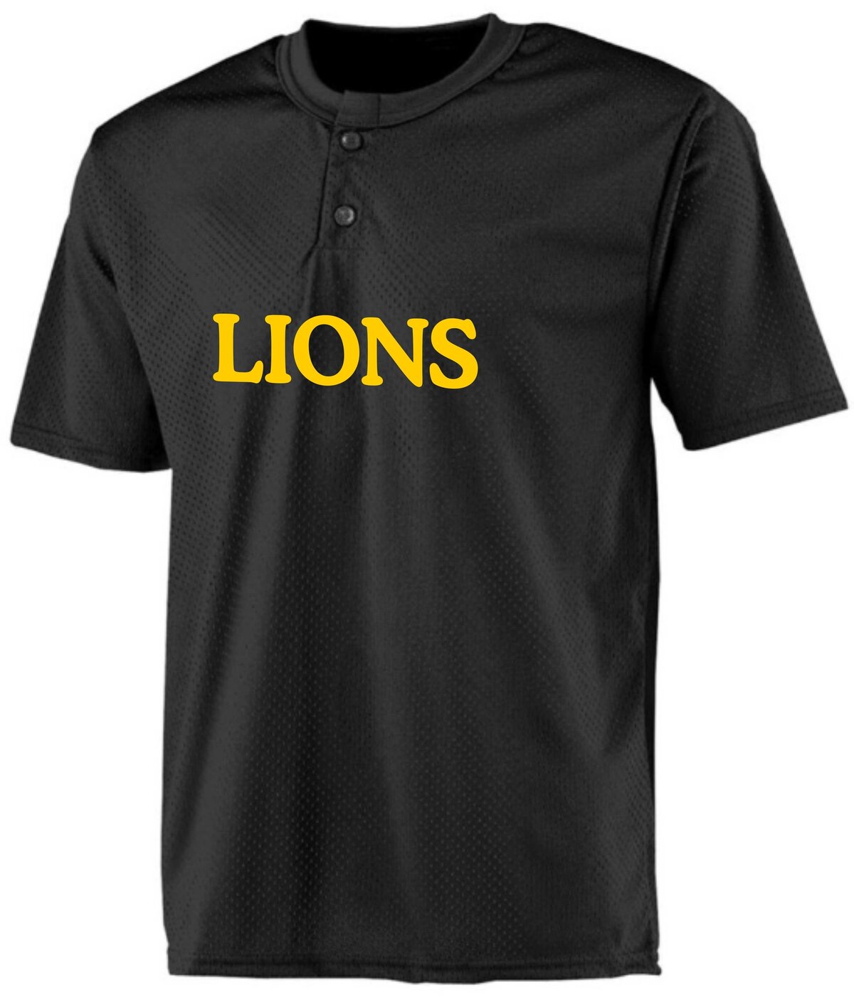 Wyck Lions BP Jersey Mesh zwart