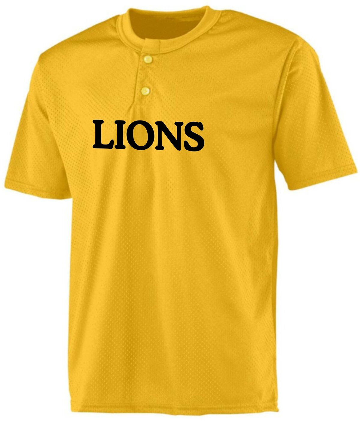 Wyck Lions BP Jersey Mesh geel