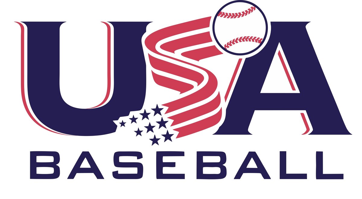Rawlings Raptor USA Beeball -10