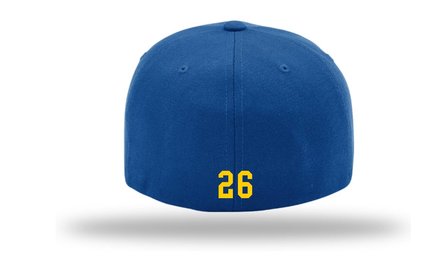 Blue Birds SSK Flex Cap