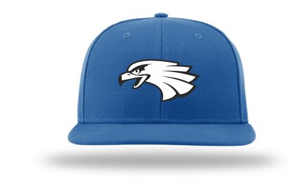 Blue Hawks PTS65 Richardson sized Woolcap 