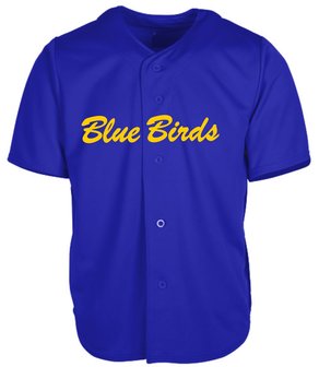 Blue Birds Jersey