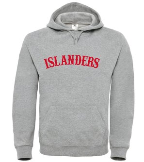 The Islanders Hoodie Grey