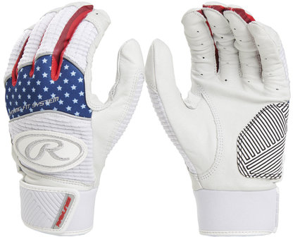 WH950BG - Rawlings Workhorse Series Slaghandschoenen USA