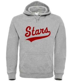 Northern Stars Hoodie Grey