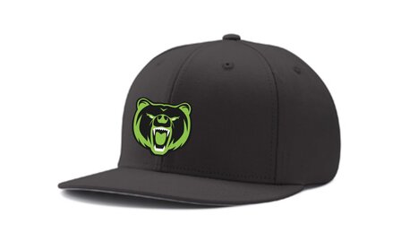 Grizzlies  HC4 3D Champro adjustable snapback cap met 3D geborduurd logo