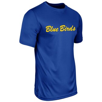 Blue Birds dry gear T-Shirt