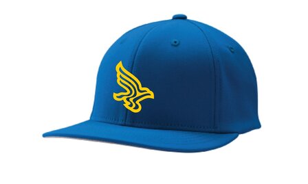 Blue Birds HC4 3D - Champro Adjustable snapback cap met 3D geborduurd logo