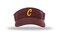 Cheetahs HV6 Champro Visor