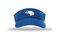 Blue Hawks HV6 Champro Visor