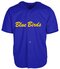Blue Birds Jersey