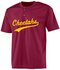 Cheetahs BP Jersey Mesh