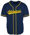 Adegeest Jersey