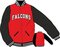 Falcons Jack