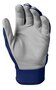 Evoshield Pro-SRZ Batting Gloves White/Navy/Red