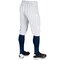 BP10/68PIN - Champro Knicker/Short Model Pants Pinstripes White/Navy