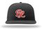 Red Lions PTS65 Richardson woolcap (sized)