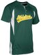Athletics Practice Jersey New model