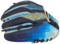 Rawlings REV1X 12" Infield Glove Blue RHT