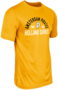 Dry Gear Short Sleeve T-Shirt Amsterdam Pirates 2026 Gold Hoofdklasse Holland Series