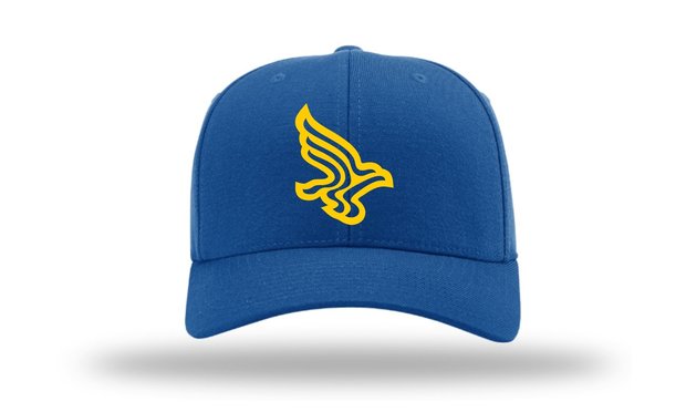 Blue Birds SSK Flex Cap