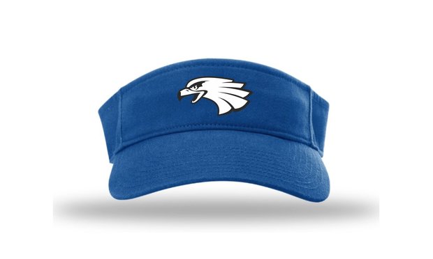 Blue Hawks R45 Visor