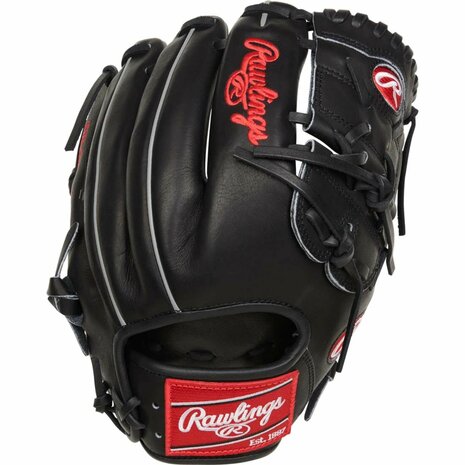 RPROT206-9B - 12 inch Rawlings Heart Of The Hide