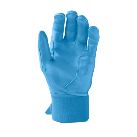 Evoshield Carbyne Batting Gloves with Strap Victory Blue