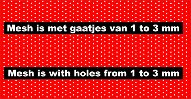 Red Lions BP Jersey Mesh Baseball