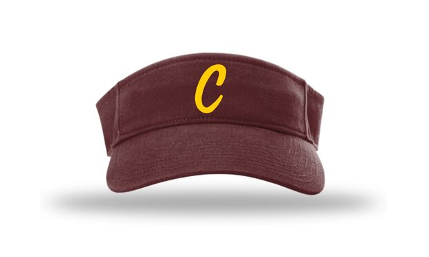 Cheetahs HV6 Champro Visor