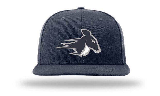 Stags PTS65 Sized Woolcap