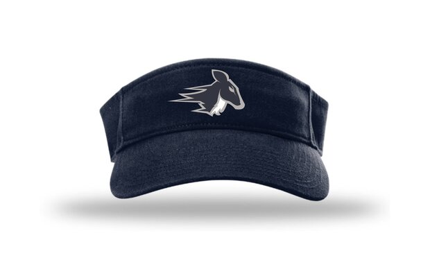 Stags HV6 Champro Visor
