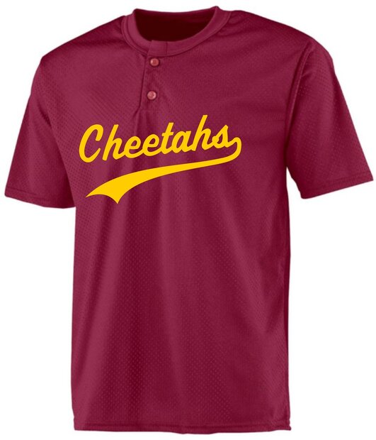 Cheetahs BP Jersey Mesh