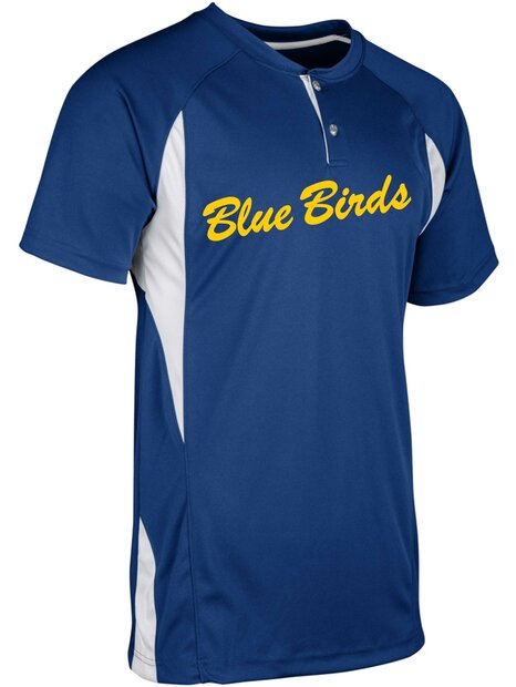 Blue Birds Practice Jersey New model