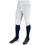BP10/68PIN - Champro Knicker/Short Model Pants Pinstripes White/Navy