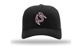 Afbeeldingsresultaat voor Storks cap