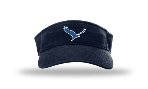 Harriërs HV6 Champro Visor Harriërs HV6 Champro Visor